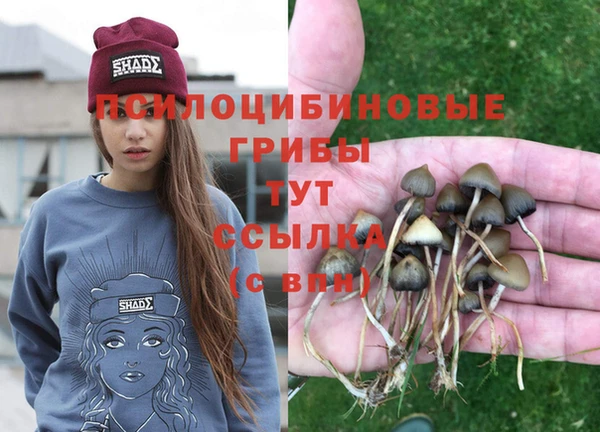 дмт Богородск