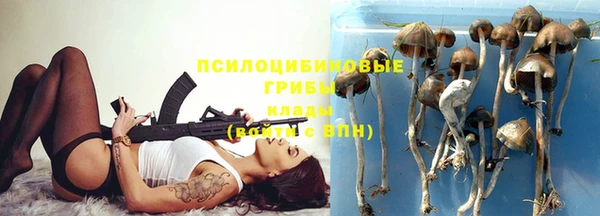 дмт Богородск
