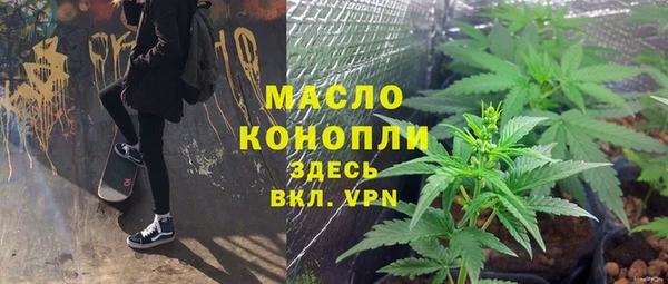 дмт Богородск