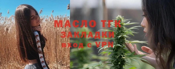 дмт Богородск